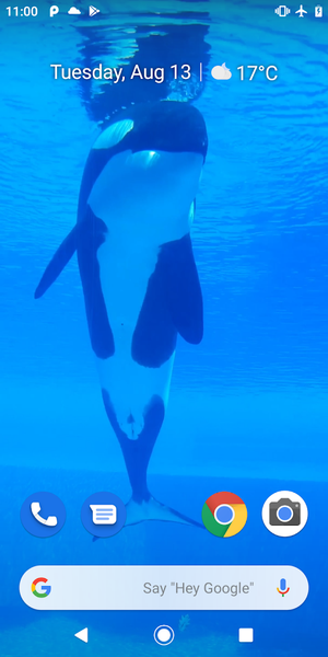 Orca Killer Whale Video Wallpa - Image screenshot of android app