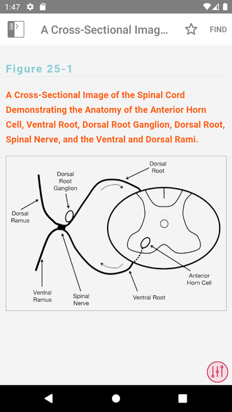 McLean EMG Guide - عکس برنامه موبایلی اندروید