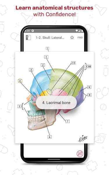 Netter's Anatomy Flash Cards - عکس برنامه موبایلی اندروید