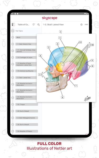 Netter's Anatomy Flash Cards - عکس برنامه موبایلی اندروید
