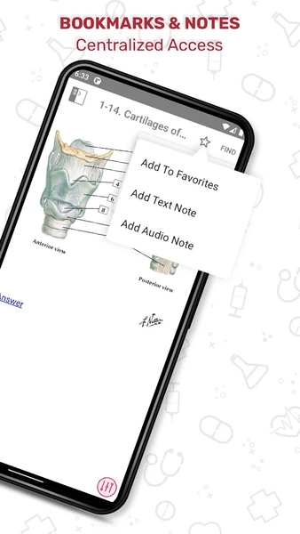Netter's Anatomy Flash Cards - عکس برنامه موبایلی اندروید