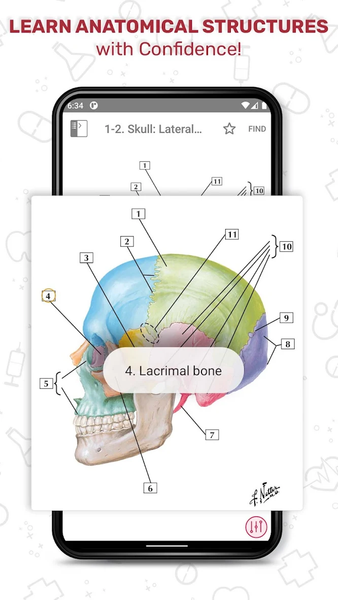 Netter's Anatomy Flash Cards - عکس برنامه موبایلی اندروید