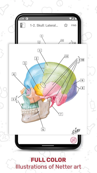 Netter's Anatomy Flash Cards - عکس برنامه موبایلی اندروید