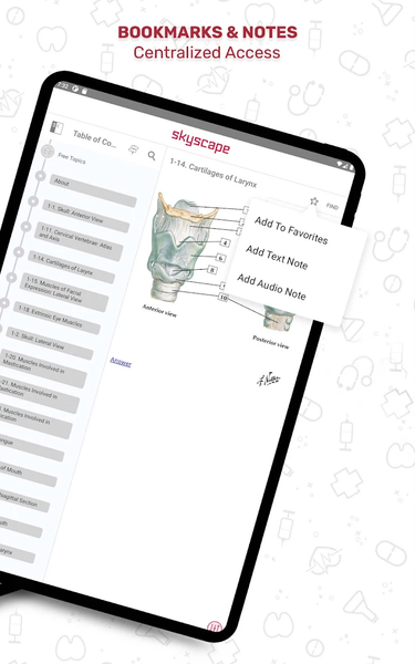 Netter's Anatomy Flash Cards - عکس برنامه موبایلی اندروید