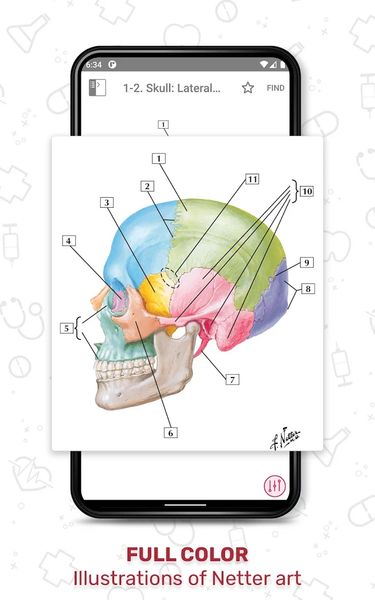 Netter's Anatomy Flash Cards - عکس برنامه موبایلی اندروید