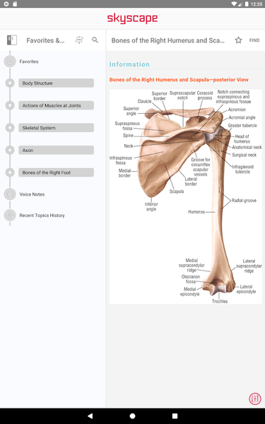 Pocket Anatomy and Physiology - Image screenshot of android app