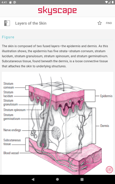 Product Guide Skin Wound Care - Image screenshot of android app