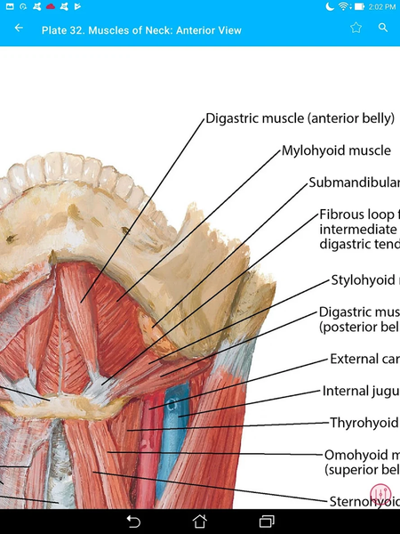 Anatomy Atlas, USMLE, Clinical - عکس برنامه موبایلی اندروید