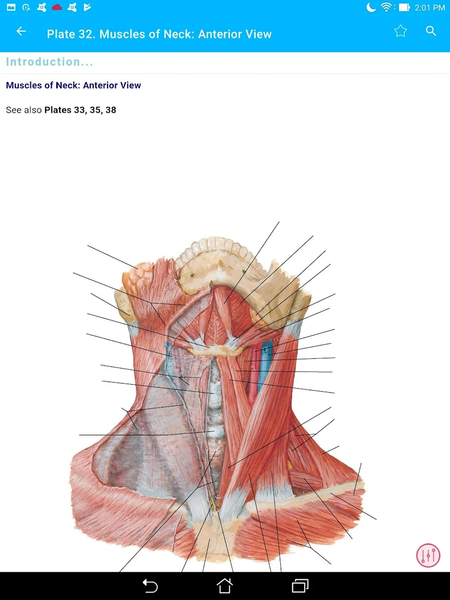 Anatomy Atlas, USMLE, Clinical - عکس برنامه موبایلی اندروید