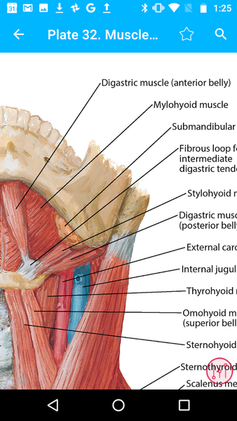 Anatomy Atlas, USMLE, Clinical - عکس برنامه موبایلی اندروید