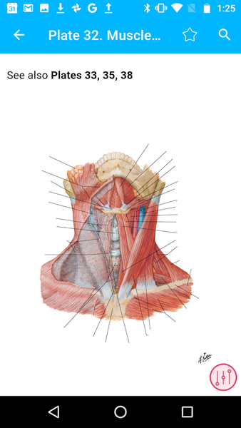 Anatomy Atlas, USMLE, Clinical - Image screenshot of android app