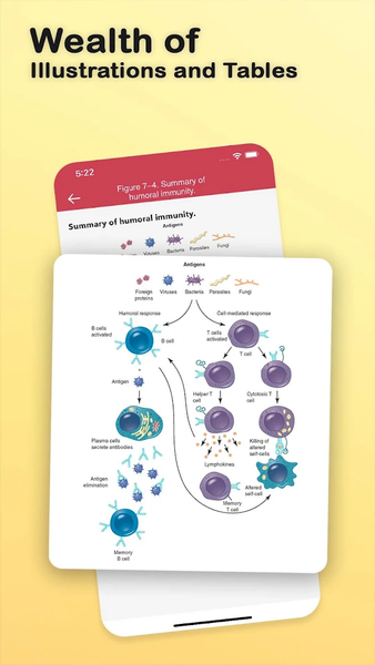 Anatomy Physiology Flash Cards - عکس برنامه موبایلی اندروید