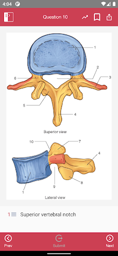 Gray's Anatomy Flash Cards - Image screenshot of android app