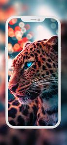 Cheetah and Lion Wallpapers - عکس برنامه موبایلی اندروید