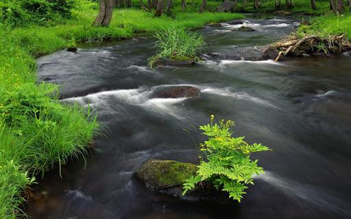 Nature wallpaper - عکس برنامه موبایلی اندروید