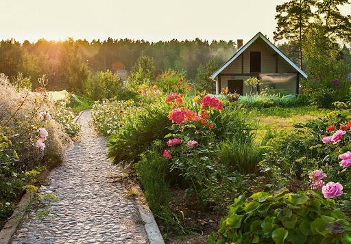 Nature wallpaper - عکس برنامه موبایلی اندروید