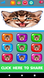 Cat Sounds::Appstore for Android, cat angry meow 