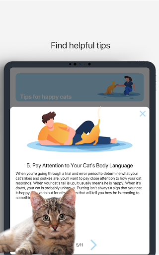 Meow - Cat Toy Games for Cats - عکس برنامه موبایلی اندروید