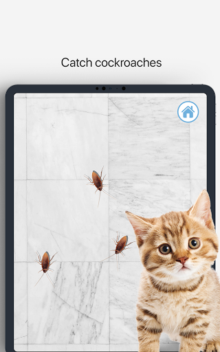 Meow - Cat Toy Games for Cats - عکس برنامه موبایلی اندروید