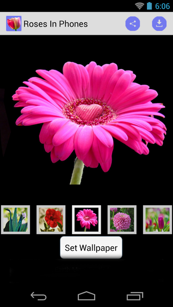 Phone Wallpaper of Roses - Image screenshot of android app