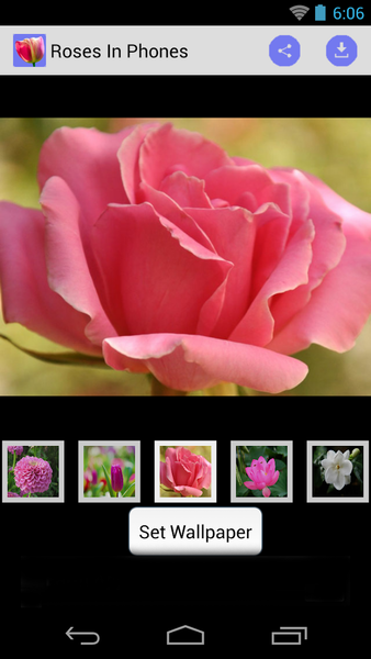 Phone Wallpaper of Roses - Image screenshot of android app