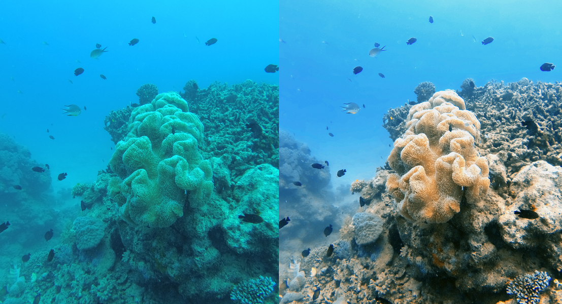 UwEdit - Diving footage editor - عکس برنامه موبایلی اندروید