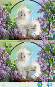 New Spot the Difference Games - Gameplay image of android game