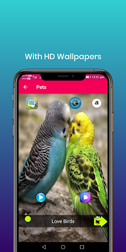 100 Bird sounds - Image screenshot of android app