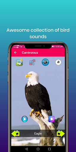 ۱۰۰ Bird sounds - عکس برنامه موبایلی اندروید