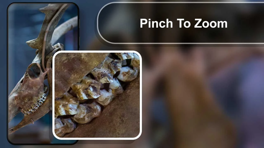 Microscope Magnifier Camera - Image screenshot of android app