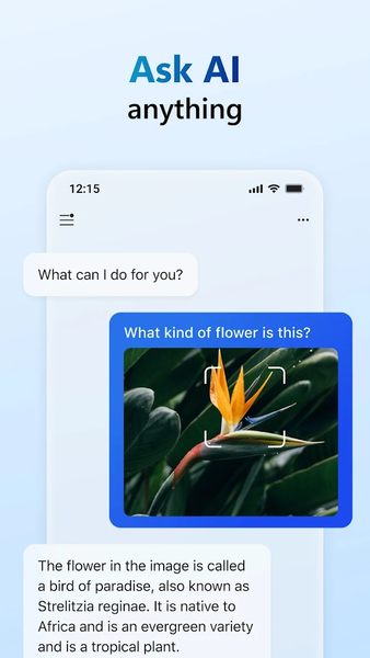 ​​Microsoft Copilot - Image screenshot of android app
