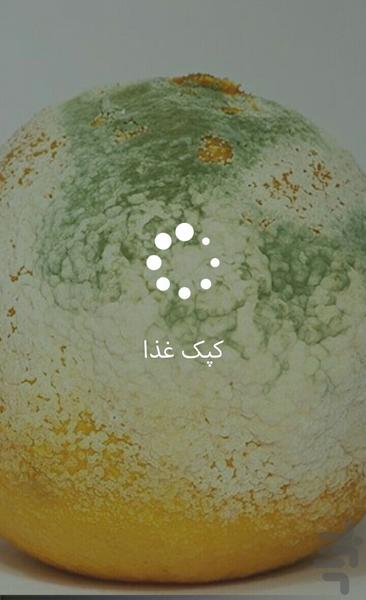 کپک غذا - Image screenshot of android app