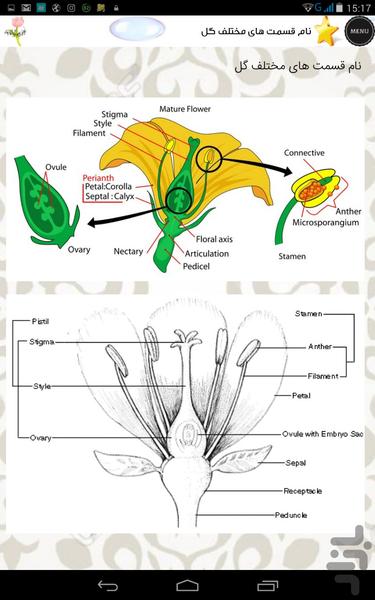 Education ornamental flowers - Image screenshot of android app