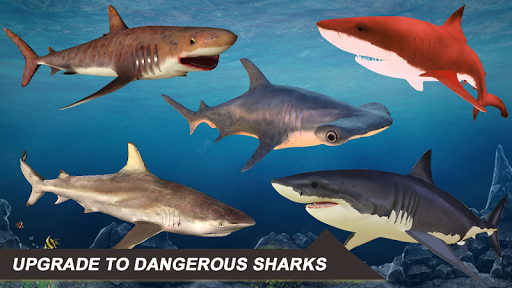 Shark Attack Sim: Hunting Game - Gameplay image of android game