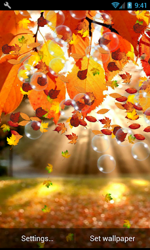 Autumn Live Wallpaper - عکس برنامه موبایلی اندروید