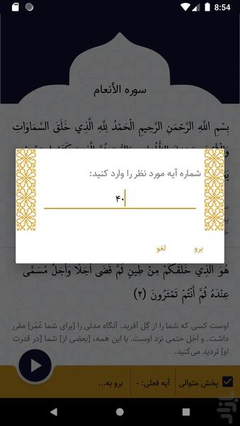 قرآن ضحی - Image screenshot of android app