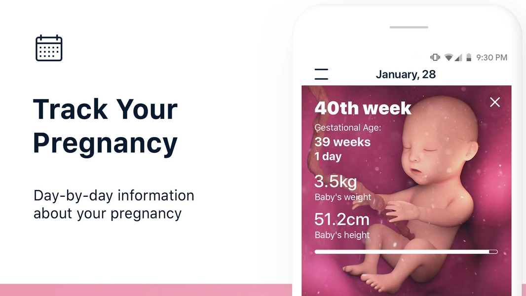 Stork Pregnancy & Baby Tracker - Image screenshot of android app