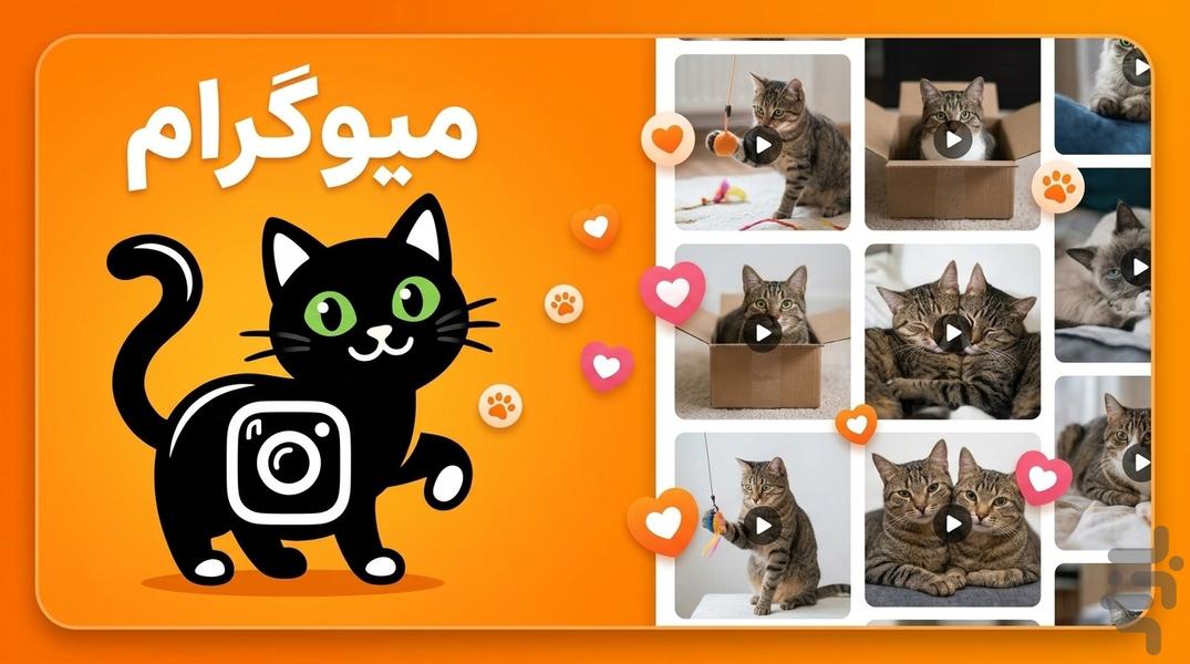 میوگرام: نگهداری از پیشی و ریلز گربه - عکس بازی موبایلی اندروید