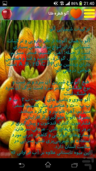 Miracle Fruit - Image screenshot of android app