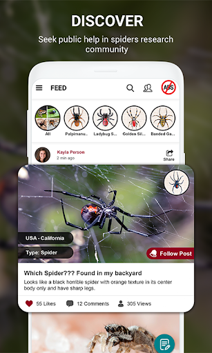 Spider Identifier App by Photo - عکس برنامه موبایلی اندروید