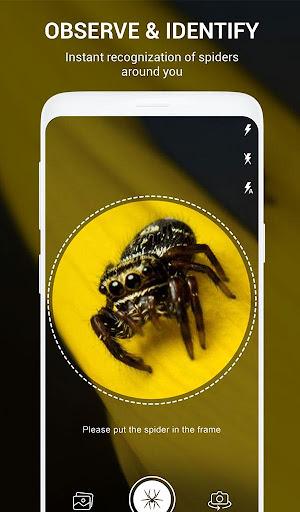 Spider Identifier App by Photo - عکس برنامه موبایلی اندروید