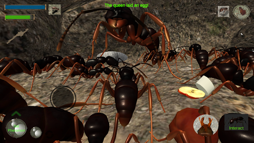 Ant Simulation 3D - Insect Sur - Gameplay image of android game