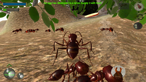 Ant Simulation 3D - Insect Sur - عکس بازی موبایلی اندروید