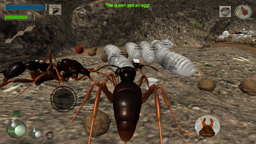 Ant Simulation 3D - Gameplay image of android game