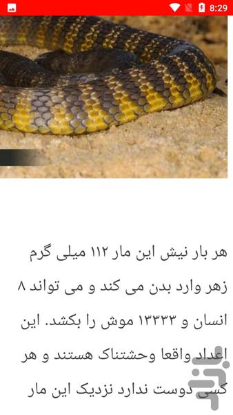 نکات و شناخت مار سمی - Image screenshot of android app