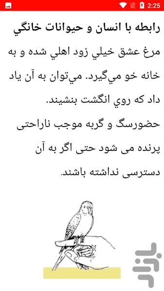 نکات مهم پرورش مرغ عشق - عکس برنامه موبایلی اندروید