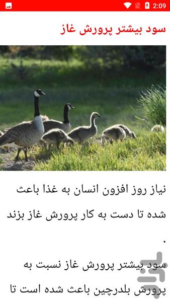 نکات مهم پرورش غاز - عکس برنامه موبایلی اندروید