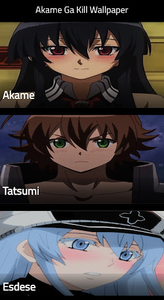 Akame Ga : Wallpaper Kill‏ Anime HD APK (Android App) - Free Download