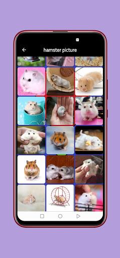 hamster picture - عکس برنامه موبایلی اندروید