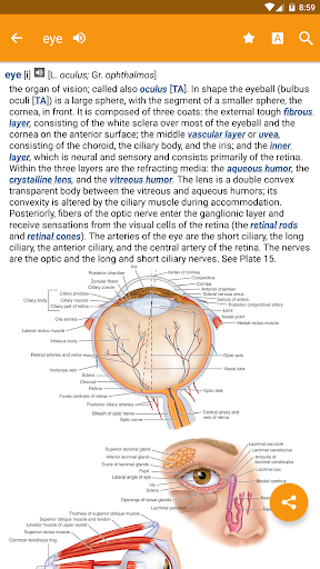 Dorland's Medical Dictionary - Image screenshot of android app